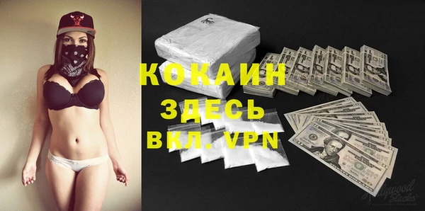хмурый Алексин