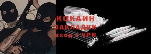хмурый Алексин