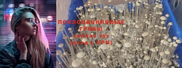 хмурый Алексин